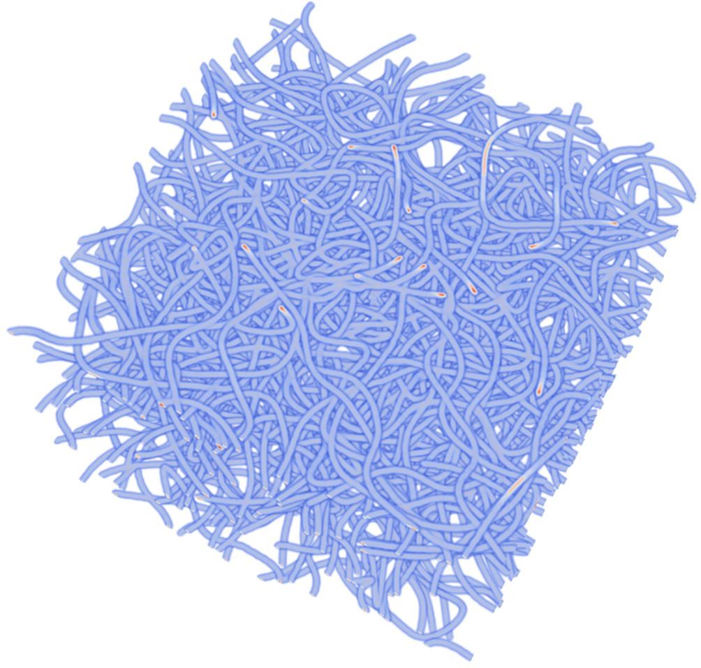 Fiber Structures